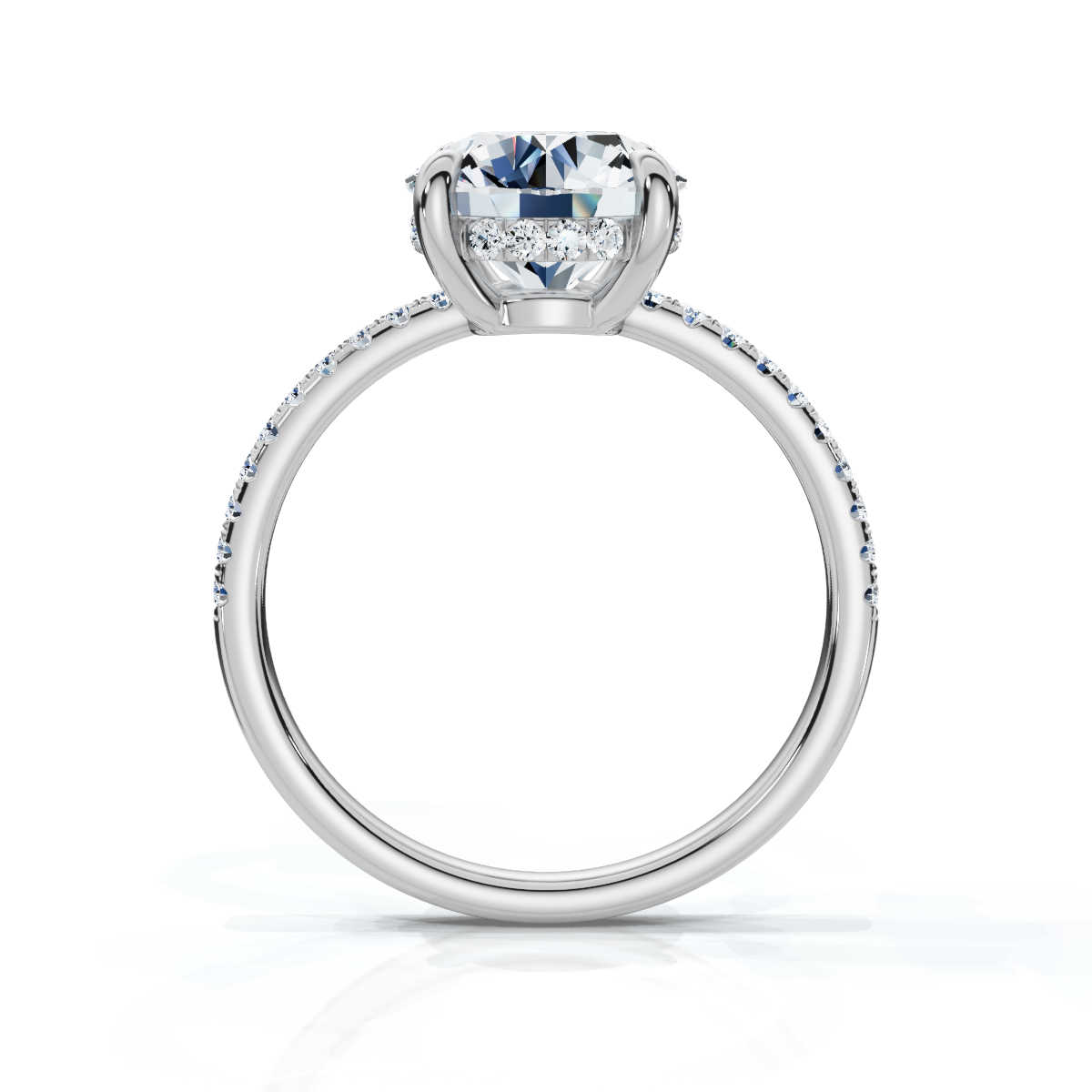 14K White Gold Valencia Half Way Hidden Accents Lab Grown Diamond Ring (1/4 ct. tw)