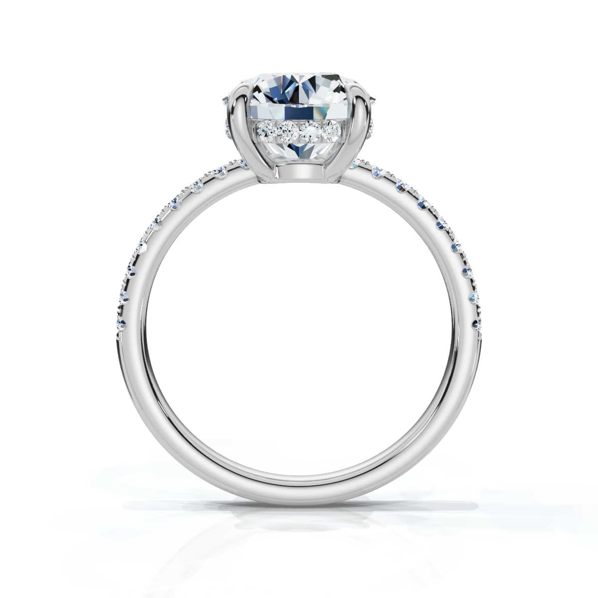 14K White Gold Valencia Half Way Hidden Accents Lab Grown Diamond Ring (1/3 ct. tw)