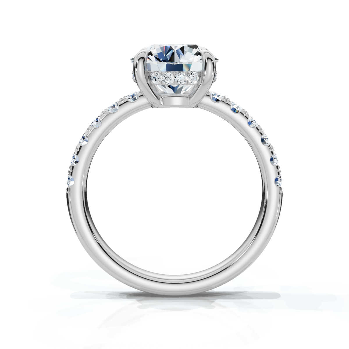 14K White Gold Valencia Half Way Hidden Accents Lab Grown Diamond Ring (1/2 ct. tw)