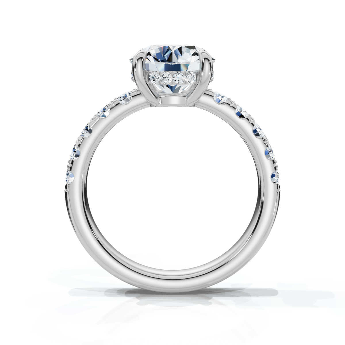 14K White Gold Valencia Half Way Hidden Accents Lab Grown Diamond Ring (2/3 ct. tw)
