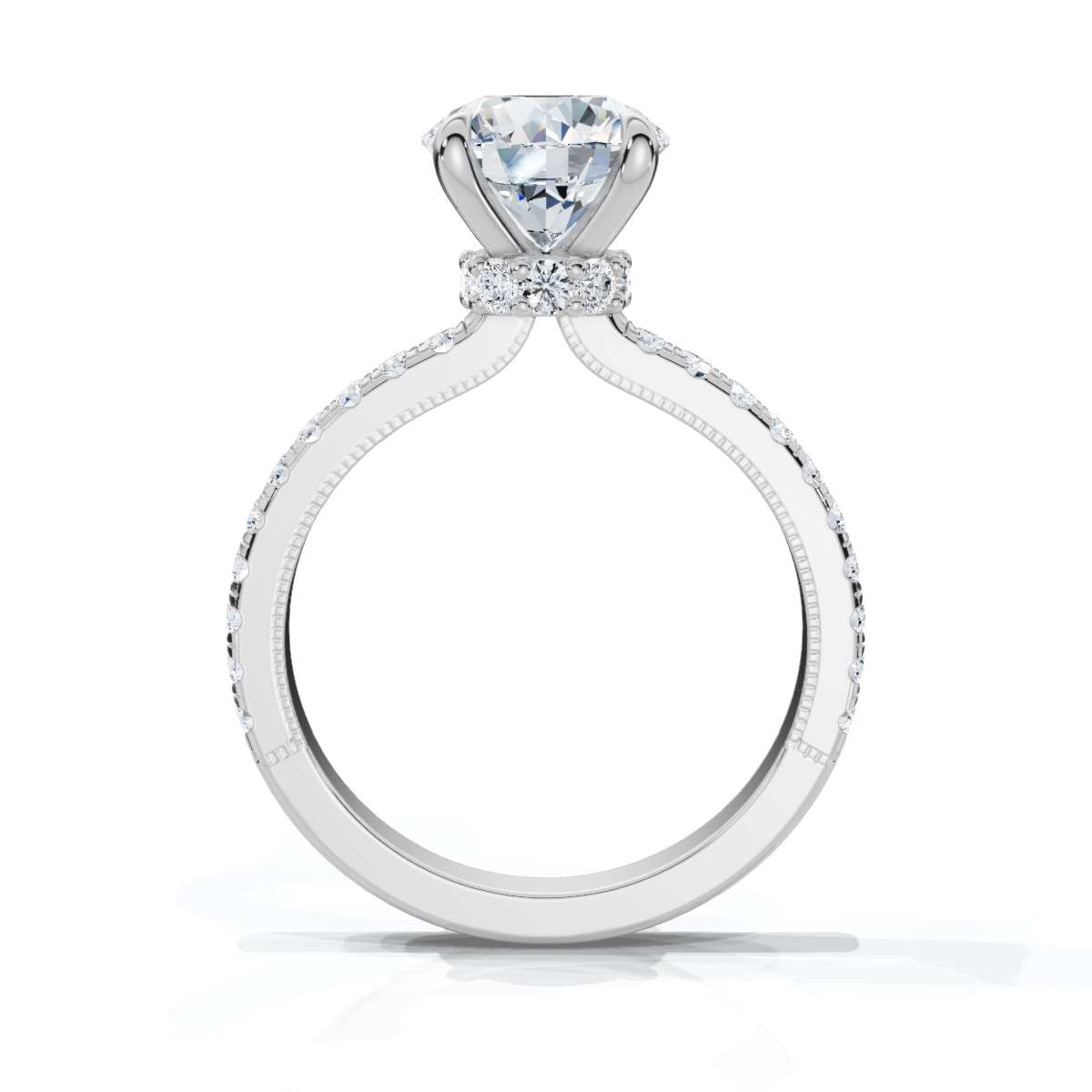 14K White Gold Danna Hidden Accents Lab Grown Diamond Ring (1/2 ct. tw)